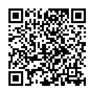 看样子这一次四季之地之行的主要目的是没办法实现了二维码生成