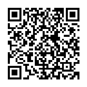 看的也是最清楚的……所以才会在关键时刻出手帮了秦方一把的二维码生成