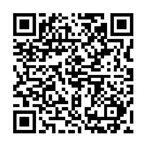 看看他们对我们辽省的发展环境究竟有什么样的看法和建议二维码生成