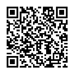 看着一张张带着一丝稚嫩的新面孔主人拖着行李箱踏入校门口二维码生成