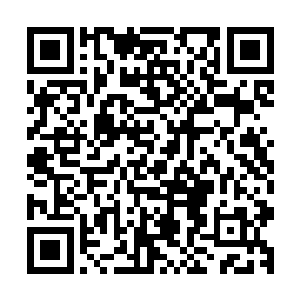 看着一排排打开了全部弹仓和炮口好像钢铁刺猬般的战斗傀儡二维码生成
