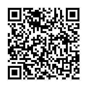 看着一眼望不到尽头的檀木架上密密麻麻摆满了近千万枚玉简二维码生成