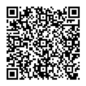 看着两个只有牙齿和眼白是白的其他地方全是乌漆墨黑的家伙在那咧着白牙吵个不停二维码生成