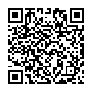 看着他们那风华绝代的弓大殿主的玉手揪着某人的衣领不放二维码生成