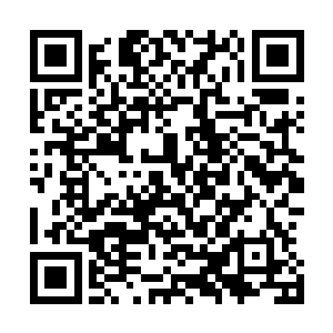 看着众人之前眸中深处的绝望和枉然此时果然已经荡然无存二维码生成