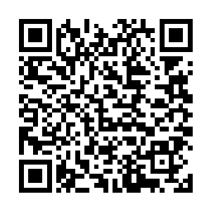 看着修改了又修改的还算属于自己的剧本终于登上银幕二维码生成
