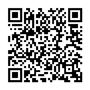 看着出现的数字金在珉和刘在石等人都稍微松了一口气二维码生成