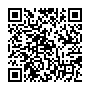 看着匕首流光还在继续撞击那堵似乎永远都凿不塌的峭壁二维码生成
