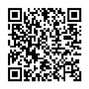 看着卓景忽然伸手从我的衬衫衣领里掏出那个挂着的戒指二维码生成