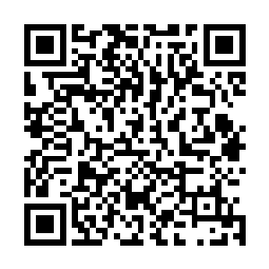 看着周围众人望着王家家主王伦羡慕的目光李大可不由轻笑二维码生成
