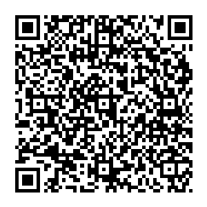 看着因为恐惧而在结界中乱窜的大巫天族之人　风清扬笑了　他笑的很疯狂　他终于体会到了实力所带來的好处二维码生成