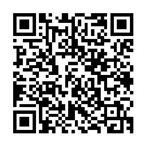 看着宗宝那张时而呆滞时而八卦时而冷漠时而又有些白痴的样子二维码生成