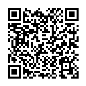 看着就差喜极而泣的陌星子和同样激动不已的陌路离殇二维码生成