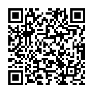 看着师丝桐踏着那暗金色巨钟竟是一路飞回了流墨墨道场的位置二维码生成