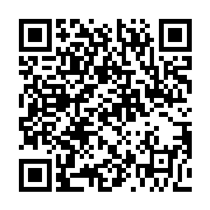 看着我如何将所谓的无疆海第三大实力兄弟会一举打垮二维码生成