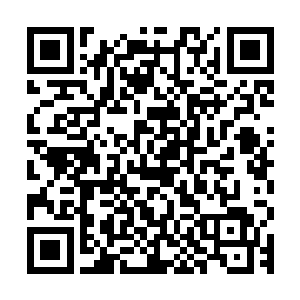 看着摆在自己面前这几乎快把一张桌子给填满的上百颗一阶魔核二维码生成