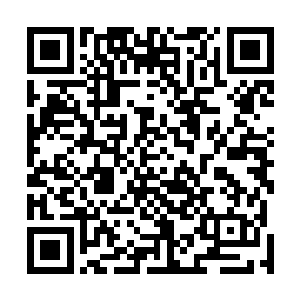 看着暗三和叶璃一左一右背靠着两边而行的模样挑了挑眉二维码生成