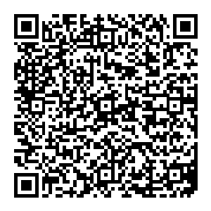 看着正恐慌的走在前面的红衣　风清扬赶紧的跟了上去　单跟上去的瞬间　心头忽然一跳　一瞬间　居然感受到了一抹强大的危机二维码生成