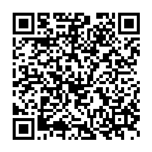 看着流墨墨说不出话来绵老挥手一堆灵石和几个玉瓶出现在石桌上二维码生成