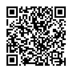 看着眼前众人的妥协苏凡的嘴角顿时露出了一抹淡淡的笑容二维码生成