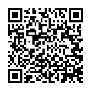 看着蛤蟆的肚子已经大得挤破了掌门殿的殿墙了还没带来劫数二维码生成
