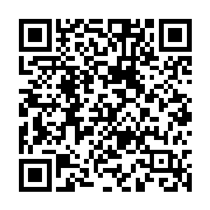 看着这些摇头凑在一起小心翼翼的算计林烽的样子二维码生成