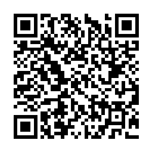 看着这张如今因血污和冷汗的沾染而显得十分狼狈二维码生成