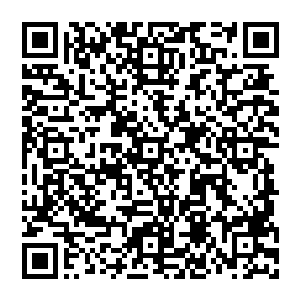 看着远方走來的张韩飞　他只是淡淡的给了一个眼神　就那么一瞪眼　竟让张韩飞硬生生的止住了脚步二维码生成