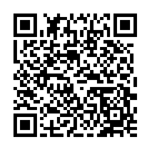 看着邢国寿从容淡定的游走于几位副市长和下边区县长之间时二维码生成