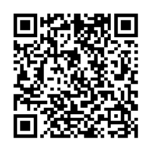 看着那两架巨大的侦察机耀武扬威的在他们头顶飞过二维码生成