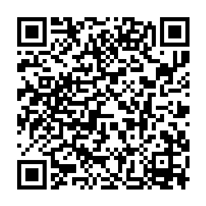 看着那些在我爷爷尸骨未寒的时候就已经貌合神离的将领和大臣们二维码生成