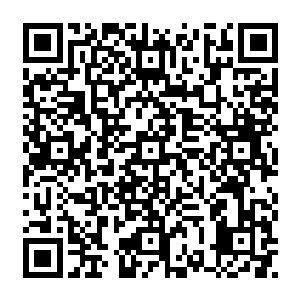 看着那颗十字回旋镖一样的奇怪果实和果实里面那个奇怪的如一群蝌蚪组成的文字二维码生成