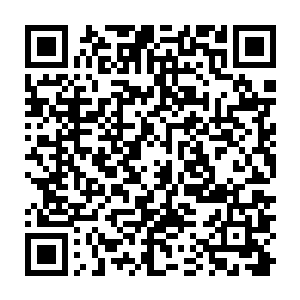 看美国的观众们是不是真的对中国功夫有他们过去所表现出来的那么追捧了二维码生成