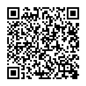 看血手现在表现出来的这副样子苏凡就知道从他那里是得不到什么答案了二维码生成