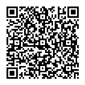 看见一无所知的周局长和钱校长还在满脸堆笑的亦步亦跟着谭局长他们趋逢迎着陆市长二维码生成