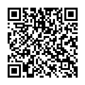 看起来也确实挺有气派的样子――可是尼玛女神不可能会是弟控二维码生成