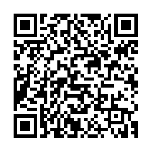 看起来你们共度的假日大部分时间里都忙得没时间探讨现实问题二维码生成