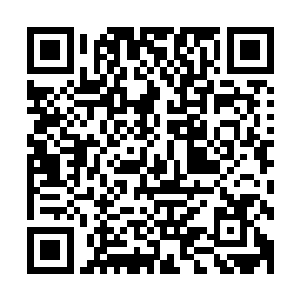 看起来像一条刚刚和同伴撕咬过一场结果落慌而逃的狼狈野狗二维码生成