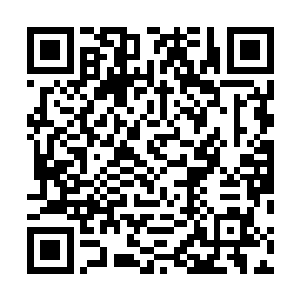 看起来已经是从和林封谨他们一战当中得到了深刻的教训二维码生成