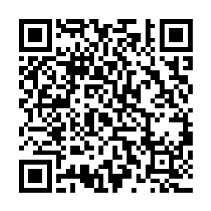 看起来很想一把抓住银票砸到林封谨的脸上狠狠羞辱他一番二维码生成