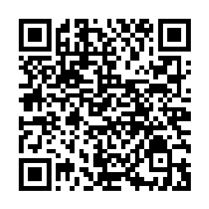 看起来赵华生对花的研究已经不是单单停留在简单的养活上了二维码生成