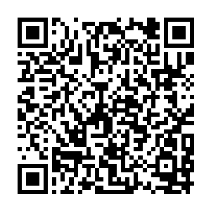 看那些猪啊鸡啊的屠宰场……现在只不过是将猪啊鸡啊换成了人而已二维码生成