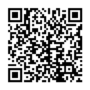 真人们再如何藏拙也不可能让自己每次讲课的内容都完全一致二维码生成