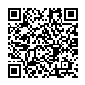真实的令人都已经令人要分不清楚什么是真实的存在了二维码生成