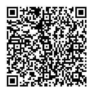 真希望晋枝能别动作那么快……哎……今晚是最后一次跟你们说话了……呜呜……我会想你们的二维码生成