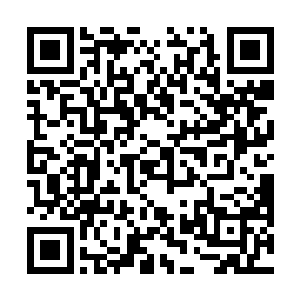 真希望能够帮上点什么……可是稚儿还是太没用了……二维码生成