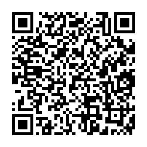 真是不可爱啊~明明有这么漂亮的一个皮囊~你们是打算和我动手吗二维码生成