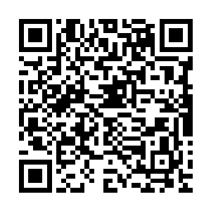 真是不知道等到时候一旦魔族进攻天域的时候他们用什么抵抗二维码生成