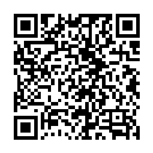 真是恨不得现在就上前抢过季疏云的药涂在凤箫的手上二维码生成