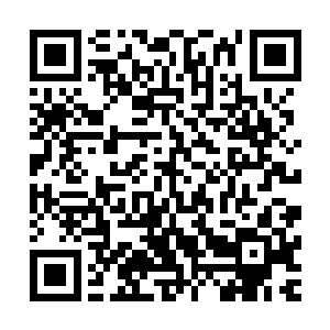 真正成功的是进入到这枚介绍水域历史玉简的那几位飞升修士二维码生成